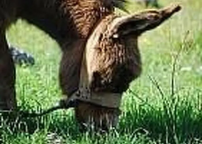 Apartman By Interhome Trogir